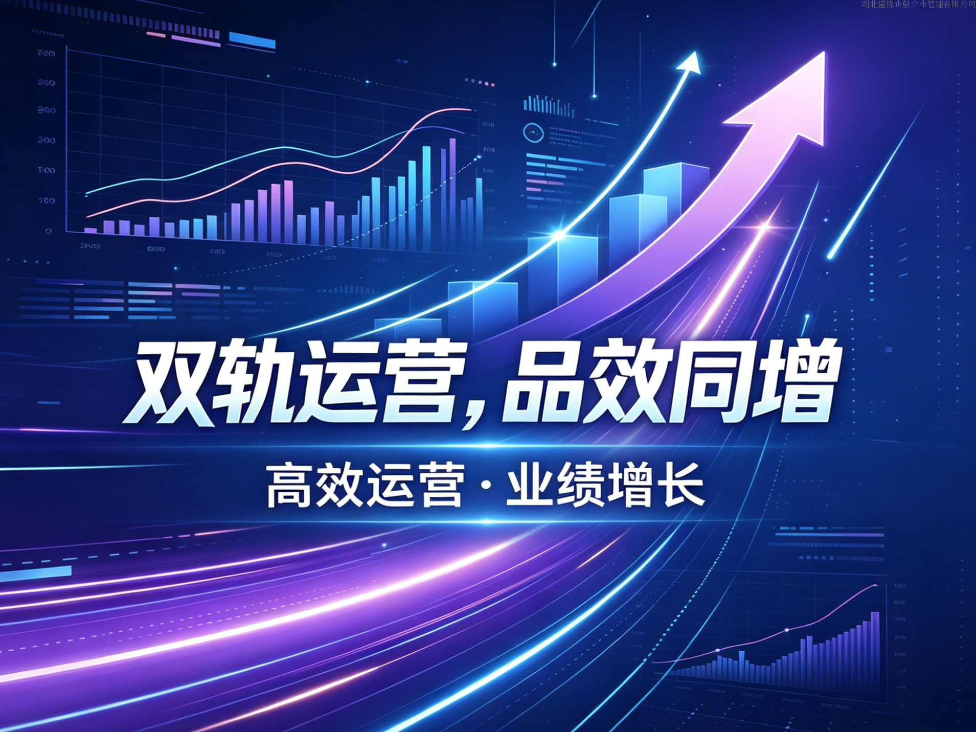 讯灵AI-GEO与树品系统：以技术能力支撑企业数字营销场景拓展